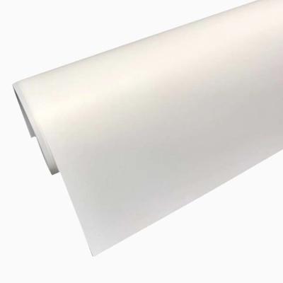 China Clear Inkjet Transparency Film Inkjet Polyester Fabric  DTF Outdoor HD Printing for sale