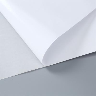 China Impressão fotográfica de papel autoaderente de vinil para tinta de corante à base de água à venda