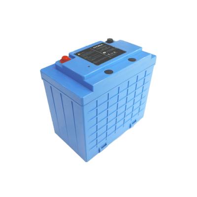 China LFP 100ah 24V LiFePo4 Battery Pack Rechargeable Lithium Ion Phosphate Battery for sale