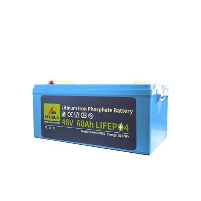 China 48V 60Ah Lithium iron Phosphate Battery bms system battery pack 48v Lithium Battery for sale