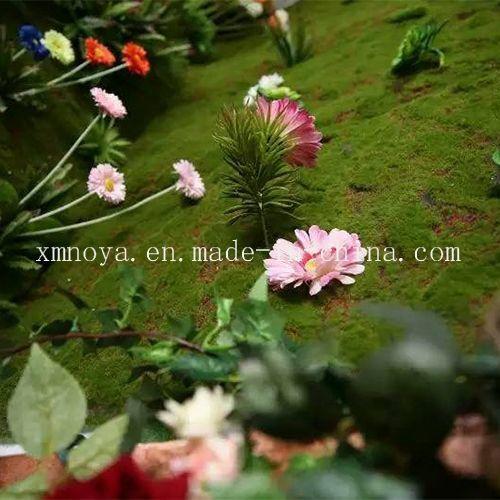 Artificial Moss for Home, Garden, Restaurant, Supermarket, Hotel, Office Decoration
