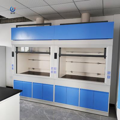 China Explosion Proof Steel Fume Hood For Laboratory Alkali Resistant for sale