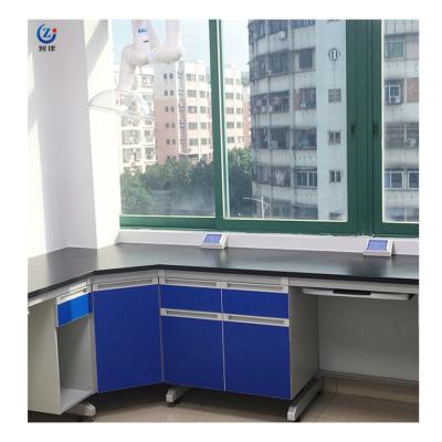China Estación de trabajo de laboratorio resistente al calor, W750mm Banco de isla de laboratorio montado en la pared en venta