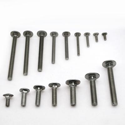 China Stainless steel carriage screws customized for sale