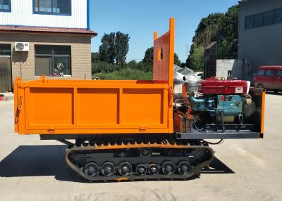 China 600Kgs Diesel Engines Mini Rubber Track Transporter for sale