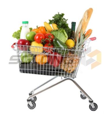 China Unfolding Supermarket Shopping Trolley , Metal Wire Shopping Carts for sale