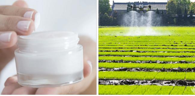 PEG 2000 3000 Polyethylene Glycol Poly(Ethylene Glycol) Surfactant