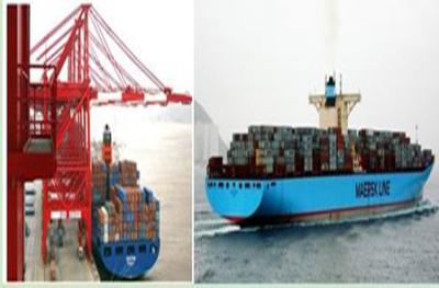 China RELIABLE PROFESSIONAL SEA SHIPPING SERVICE IN NINGBO TO MIAMI.FL.  USA for sale