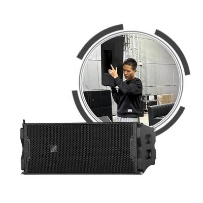 China ARE AUDIO dual 8 inch outdoor line array speaker system excellent sound lightweight and portable for sale