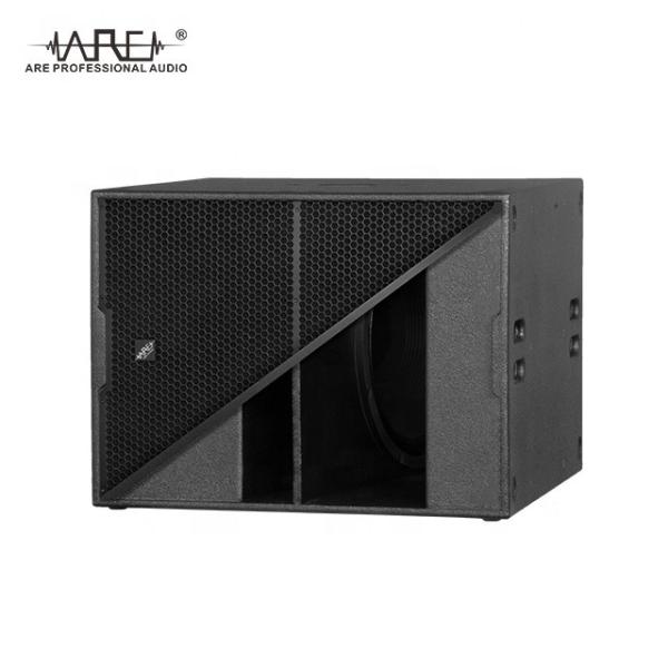 Quality ARE Audio Dual 12" Line Array Speakers Professional Audio System Outdoor Line for sale