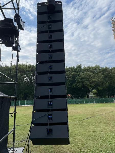 Quality ARE Audio Line Array Outdoor System Monitor System with Eight Dual 12" Full for sale