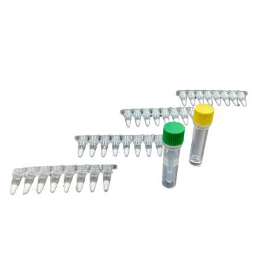 China Kit de amplificación isotérmica de PCR estable para ingeniería genética en venta