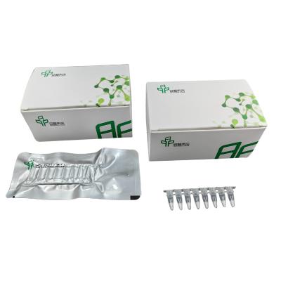 China Rapid Isothermal Nucleic Acid Amplification Kit For Lab Use for sale