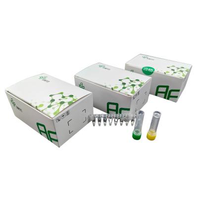 China Basic Nucleic Acid DNA Amplification Kit 48 Reactions 20mins for sale