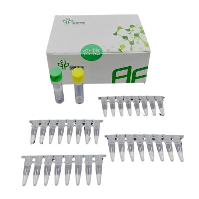 China Conveniently Test RNA Isothermal PCR Kit At Home Reagent Buffer for sale