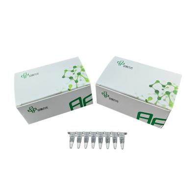 China 5-20mins High Sensitivity Isothermal PCR Kit NFO Short Reaction Time for sale