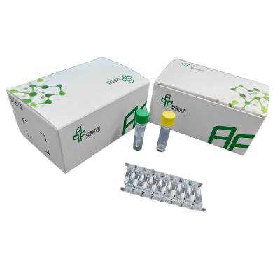 China 14 Months Validity DNA Isothermal Nucleic Acid Amplification Kit NFO for sale