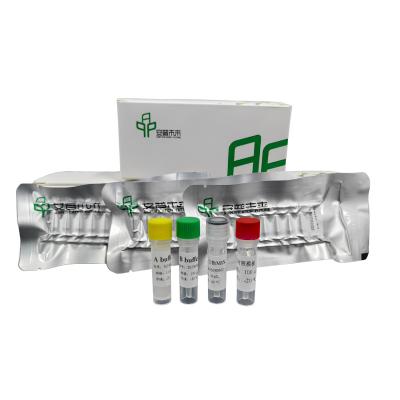 China High Performance RNA Isothermal PCR Kit For Accurate Quantification for sale