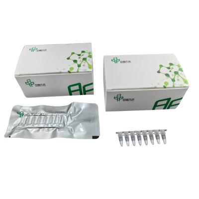 China Kit de Amplificação Isotérmica de PCR de Alto Desempenho Resultados Rápidos e Precisos à venda