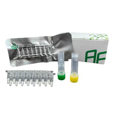 China NFO Kit de PCR isotérmico Temperatura de la habitación Alta precisión 14 meses en venta