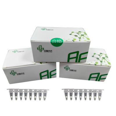 Chine 14 mois de stockage Kit d'amplification par PCR isotherme Spécificité de sensibilité élevée à vendre