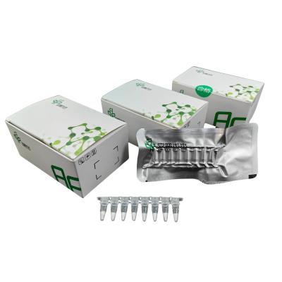 Chine Température ambiante Kit de PCR isotherme Température constante Congélation Réactifs séchés à vendre