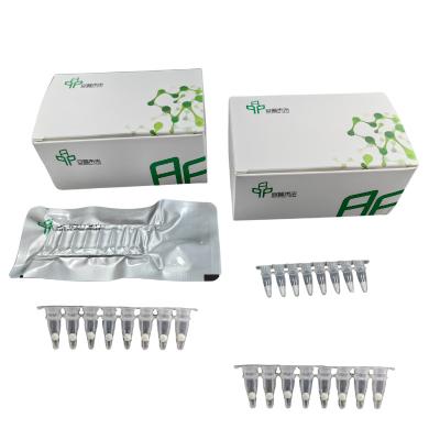 China RNA Basic Isothermal PCR Kit With High Accuracy And Efficiency for sale