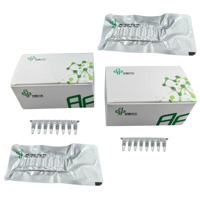 China Kit de PCR de amplificación isotérmica rápida y precisa Reactivo NFO de ADN seco congelado en venta