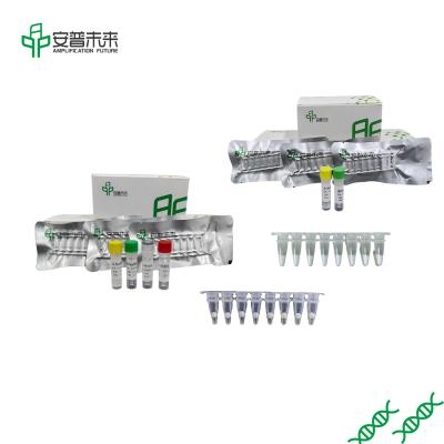 Китай RPA Isothermal Amplification Kit freeze-dried powder продается
