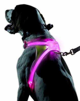 China Nylon Flashing LED Dog Harness , Lighted Dog Harness With Rainproof Function for sale
