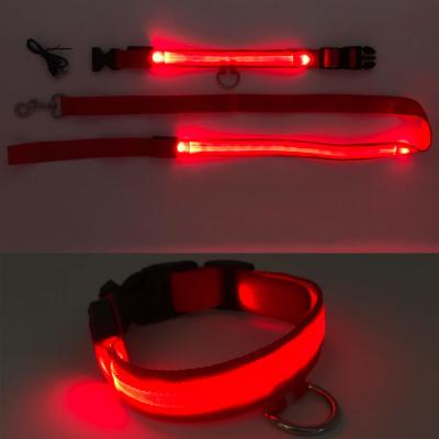 China A coleira de cão ajustável USB do diodo emissor de luz de 3 modos recarregável, ilumina acima a coleira de cão do Natal à venda