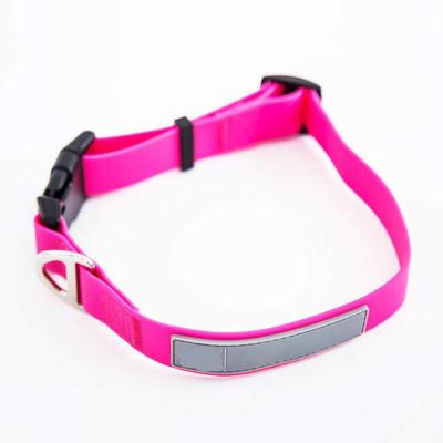 China Reflective Waterproof Dog Collars , Smell Proof Dog Collar Polyester Webbing for sale