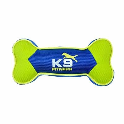 China El Chew duro del perro de nylon de la aptitud K9 juega las formas múltiples construidas para Chewers en venta