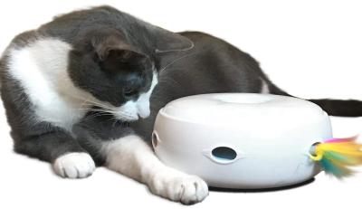 China Juguetes interactivos ligeros del gato de la noche con las baterías giratorias electrónicas del Smart Mode de la pluma incluidas en venta
