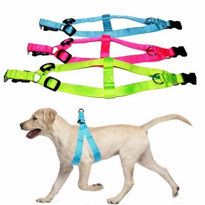 China LED Light Up Dog Harness Night Waterproof Pet Vest OEM ODM Available for sale