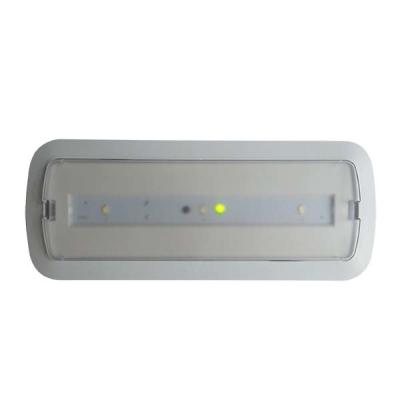 China 3 Hours Autonomy Led Recessed Emergency Light With Battery Operation for sale
