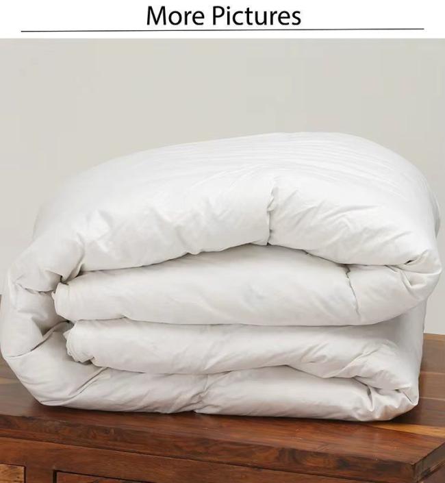 Luxury 400tc Cotton Plain Bed Duvet Covers Hotel Comforter (JRD539)