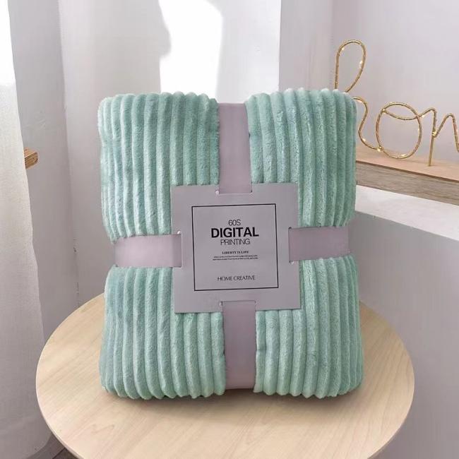 China Hot Sale High Quality Home Autumn Winter Colorgul Gift Flannel Blanket (JRD896)