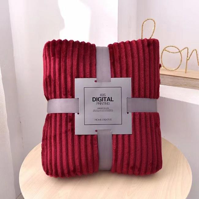 China Hot Sale High Quality Home Autumn Winter Colorgul Gift Flannel Blanket (JRD896)