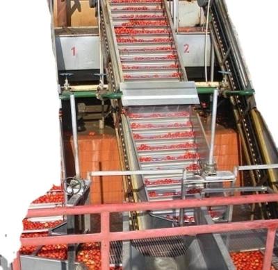 China jugo/pasta de tomate de /Orange del zumo de Juice Filling Production Line For manzana de la fruta 4000-6000bph en venta