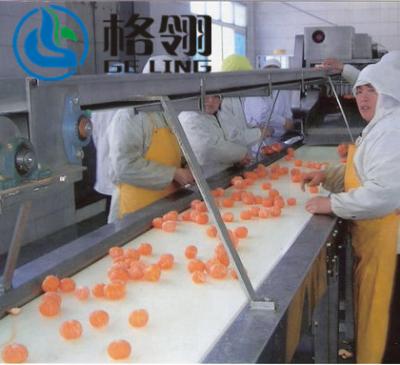 Chine Automatic Control Orange Juice Complete Processing Line  Big Capacity à vendre