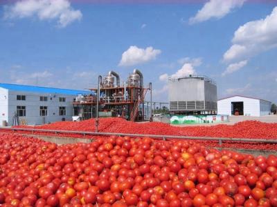China Stainless Steel Apple Juice / Orange Juice / Tomato Sauce Processing Line for sale