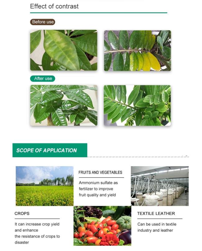 Ammonium Sulphate Chemical packaging