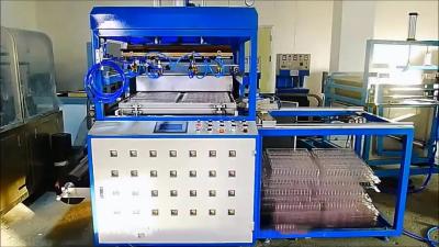 China Máquina de empacotamento do PLC Thermoforming, ANIMAL DE ESTIMAÇÃO de Multiscene que forma a máquina à venda