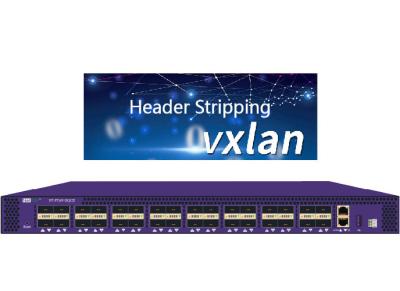 China VXLAN Header Stripping Network Packet Broker With VTEP Message Transfer Via Multicast for sale