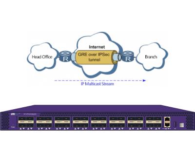 China GRE Tunneling Protocol With IPSec Ethereal Network Sniffer In NPB Protect Multicast Data for sale