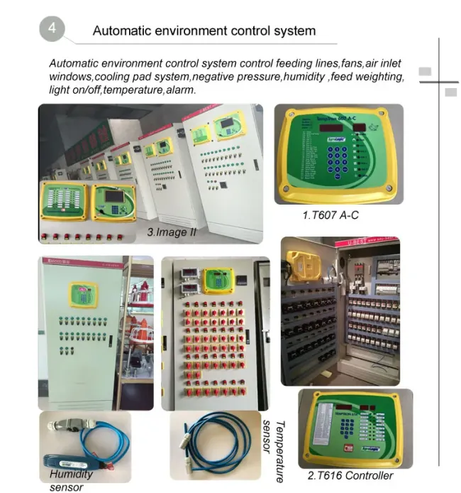 Cheap Price Automatic Chicken House Broiler Poultry Farming/Farm Machine/Equipment