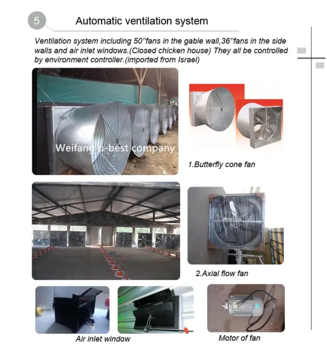 Cheap Price Automatic Chicken House Broiler Poultry Farming/Farm Machine/Equipment
