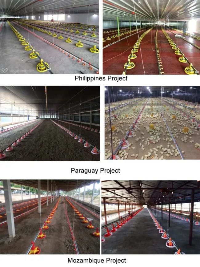 Cheap Price Automatic Chicken House Broiler Poultry Farming/Farm Machine/Equipment