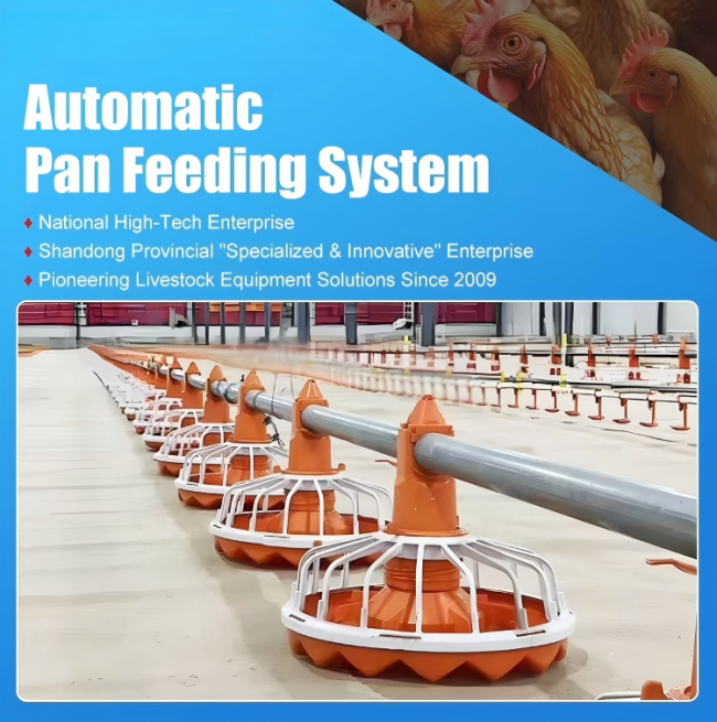 Automated Poultry House Systems for Modern Farms
